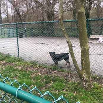 Pooch Park - Random unattended Rottweiler at the dog park. - Dog Parks Near Me - Cherry Hill, New Jersey Pooch Park - Random unattended Rottweiler at the dog park. - Dog Parks Near Me - Cherry Hill, New Jersey