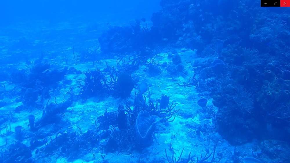 Atlantis Submarines Cozumel