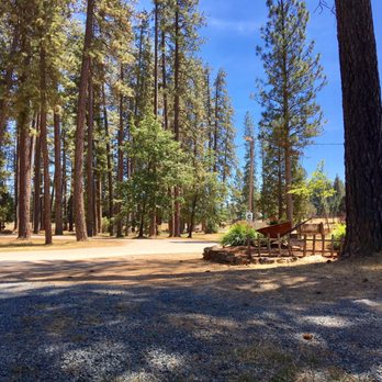 Nevada County Fairgrounds - Festivals Near Me - Grass Valley, California