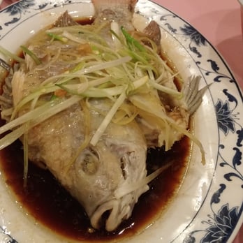New Golden Gate - Steamed fish - Chinese Near Me - Boston, Massachusetts New Golden Gate - Steamed fish - Chinese Near Me - Boston, Massachusetts