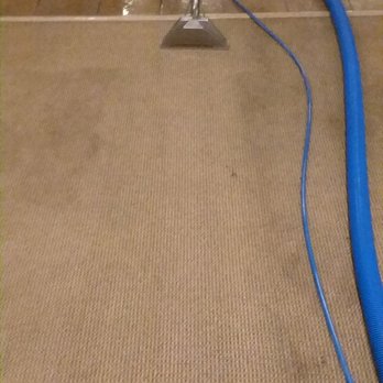 Prime Carpet Cleaning - Bellingham, WA Carpet Cleaning. - Carpet Cleaning Near Me Prime Carpet Cleaning - Bellingham, WA Carpet Cleaning. - Carpet Cleaning Near Me