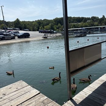 Floating Cafe - Front of cafe - Cafes Near Me - Branson, Missouri Floating Cafe - Front of cafe - Cafes Near Me - Branson, Missouri