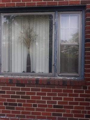 Pita Bear Construction & Management Logo