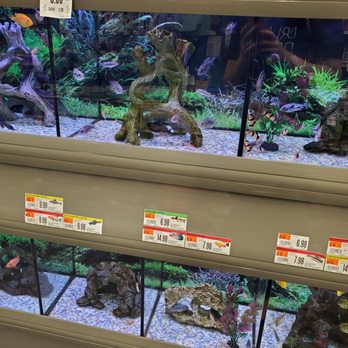 Pet Supplies Plus Winter Park - Pet Groomers Near Me - Winter Park, Florida