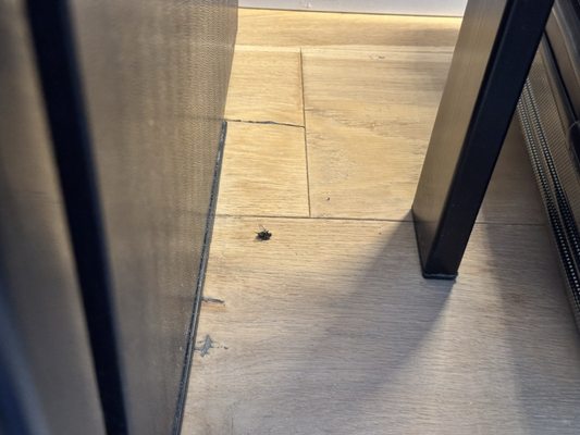 AC Hotel Berlin Humboldthain Park by null