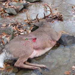 Ohio Archery Outfitters