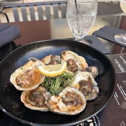 Oysters Oysters