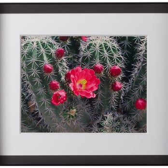 Frame Destination - Profile 56 Black Metal Picture Frame - Framing Near Me - Garland, Texas