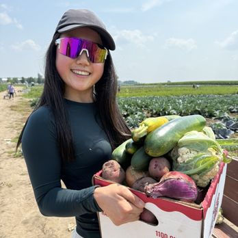 Stade's Farm & Market - Veggies - Farmers Market Near Me - McHenry, Illinois Stade's Farm & Market - Veggies - Farmers Market Near Me - McHenry, Illinois