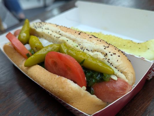 America's Dog by null