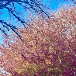 Salt Pond Visitor Center - Beautiful foliage - very nice visitor restrooms.