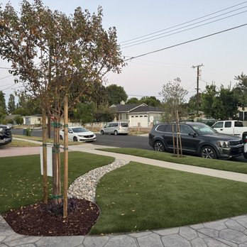 SmartGrass - They even planted our tree! - Artificial Turf Near Me - Manhattan Beach, California SmartGrass - They even planted our tree! - Artificial Turf Near Me - Manhattan Beach, California
