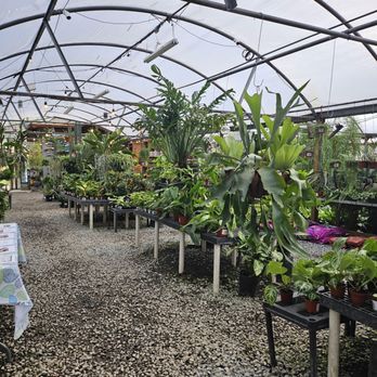 Plants Alive! - Nurseries & Gardening Near Me - Silver Spring, Maryland