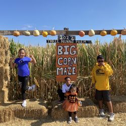 Three Nunns Farm - Corn Maze