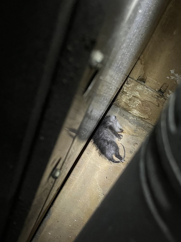 SPANISH OAKS APARTMENTS Updated October 2024 15 Photos & 10 Reviews 3206 Cripple Creek St