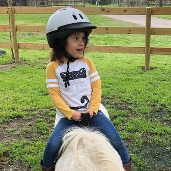 Lil Pease Of Texas - Lessons - Horse Boarding Near Me - Elgin, Texas Lil Pease Of Texas - Lessons - Horse Boarding Near Me - Elgin, Texas