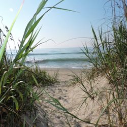 Sun-Surf Realty - I found this beautiful picture on Sun-Surf Realtys web Site
