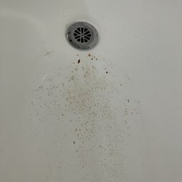 Old tub rust part duex