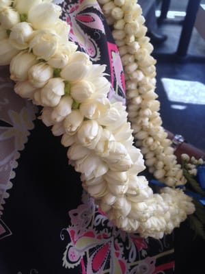 Cindy's Lei & Flower Shoppe by null