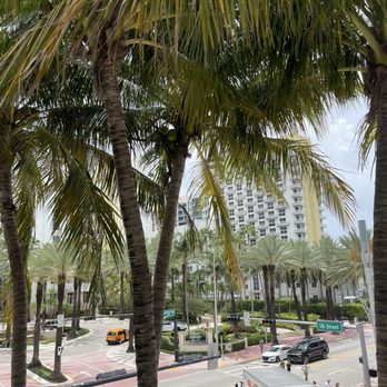 Hyatt Centric South Beach Miami - View from the pool - Venues & Event Spaces Near Me - Miami Beach, Florida