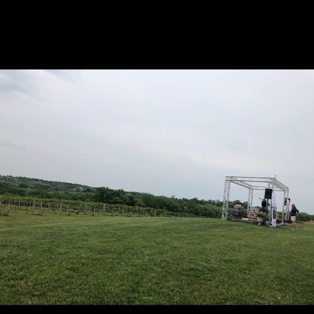 Bailey's Run Vineyard & Winery - View of stage and vines - Wine Tasting Room Near Me - New Glarus, Wisconsin