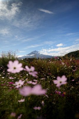Lake Kawaguchi by null