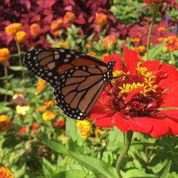 Sunken Gardens - Botanical Gardens Near Me - Lincoln, Nebraska