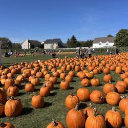 Albert H Schmitt Family Farm