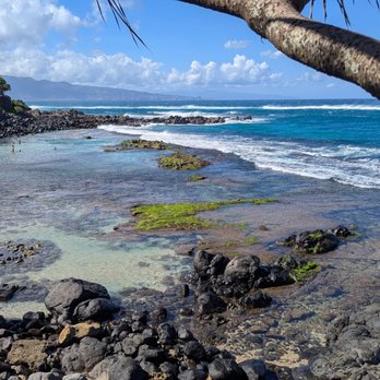 Mama's Fish House - Beautiful! - Seafood Near Me - Paia, Hawaii Mama's Fish House - Beautiful! - Seafood Near Me - Paia, Hawaii