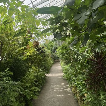Krohn Conservatory - Botanical Gardens Near Me - Cincinnati, Ohio