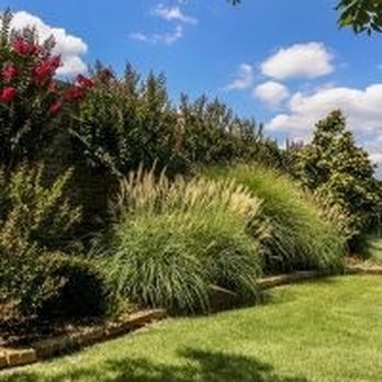 Texas Landscape Services - Residential - Landscaping Near Me - Pilot Point, Texas Texas Landscape Services - Residential - Landscaping Near Me - Pilot Point, Texas