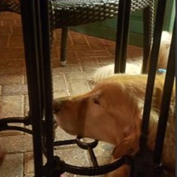 Calaveras Cantina - Mexican Near Me - Jupiter, Florida Calaveras Cantina - Mexican Near Me - Jupiter, Florida
