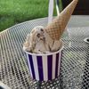 Lix Ice Cream Parlor gift card