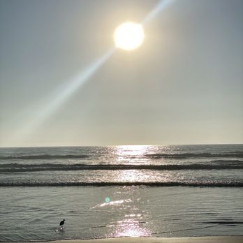 Black's Beach - Beaches Near Me - San Diego, California Black's Beach - Beaches Near Me - San Diego, California