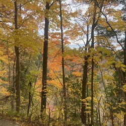 Dundas Peak - Walking trails
