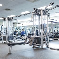 Wildwood Family YMCA - Upgraded Fitness Center now open! Enjoy new treadmills, free weights, and sleek strength machines.