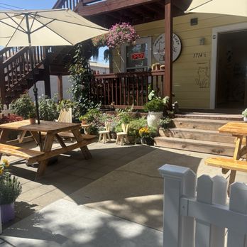 Meow Me Cafe - Bakeries Near Me - Sacramento, California Meow Me Cafe - Bakeries Near Me - Sacramento, California