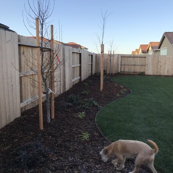 Chris McKoy Landscape - Backyard garden bed. - Landscaping Near Me Chris McKoy Landscape - Backyard garden bed. - Landscaping Near Me