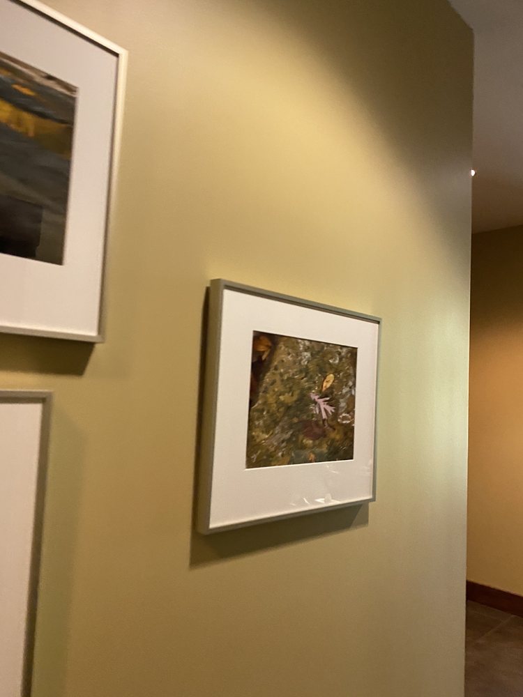 Sawyer Hayes Community Center - social services organization in Louisville, KY