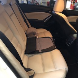Back seat Back seat