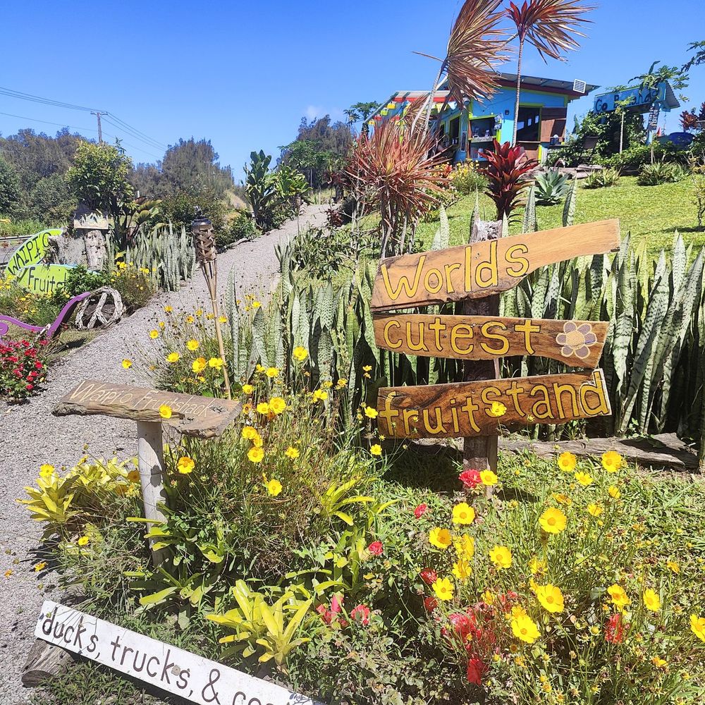 Cute area Cute area
