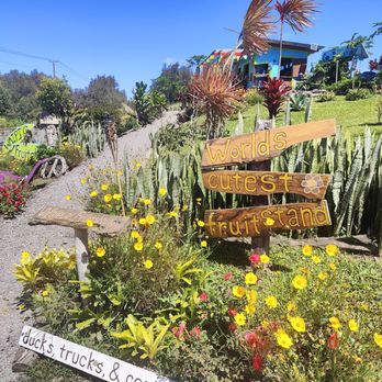Waipi’o Fruit Shack - Cute area - Fruits & Veggies Near Me - Honokaa, Hawaii Waipi’o Fruit Shack - Cute area - Fruits & Veggies Near Me - Honokaa, Hawaii