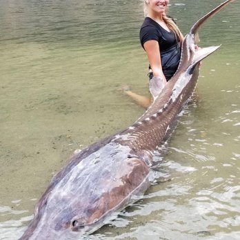 Killgore Adventures - You can catch gigantic fish like this Sturgeon on our Fishing Trips! - Tours Near Me - White Bird, Idaho Killgore Adventures - You can catch gigantic fish like this Sturgeon on our Fishing Trips! - Tours Near Me - White Bird, Idaho