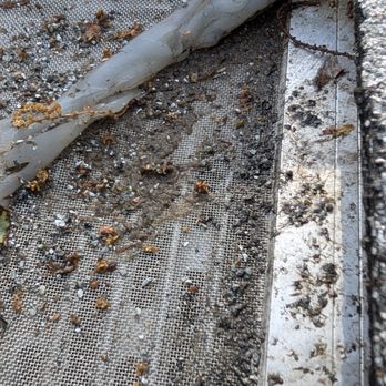 Pure Gutter Solutions - Gutter Services Near Me - Jackson, Michigan Pure Gutter Solutions - Gutter Services Near Me - Jackson, Michigan