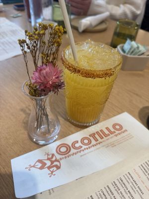 Ocotillo by null