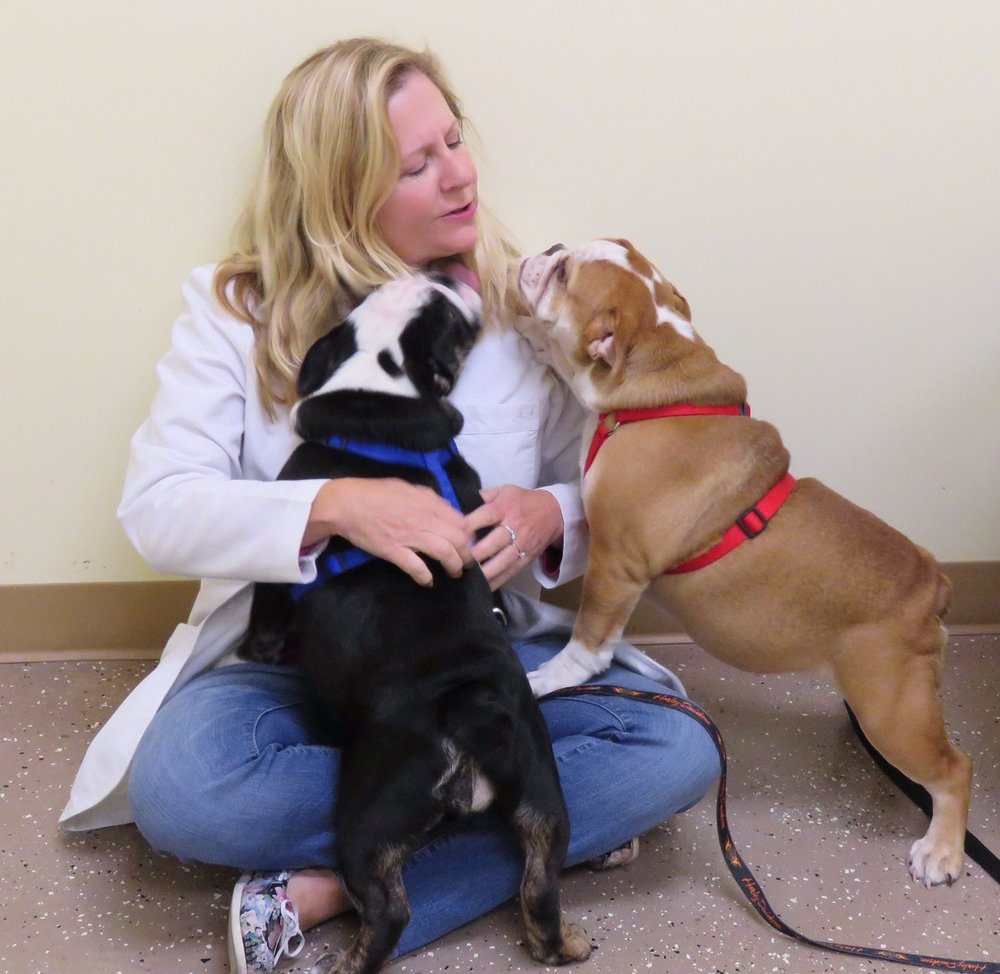 BEST PETS ANIMAL CLINIC Updated October 2024 15 Photos 104 Lawson