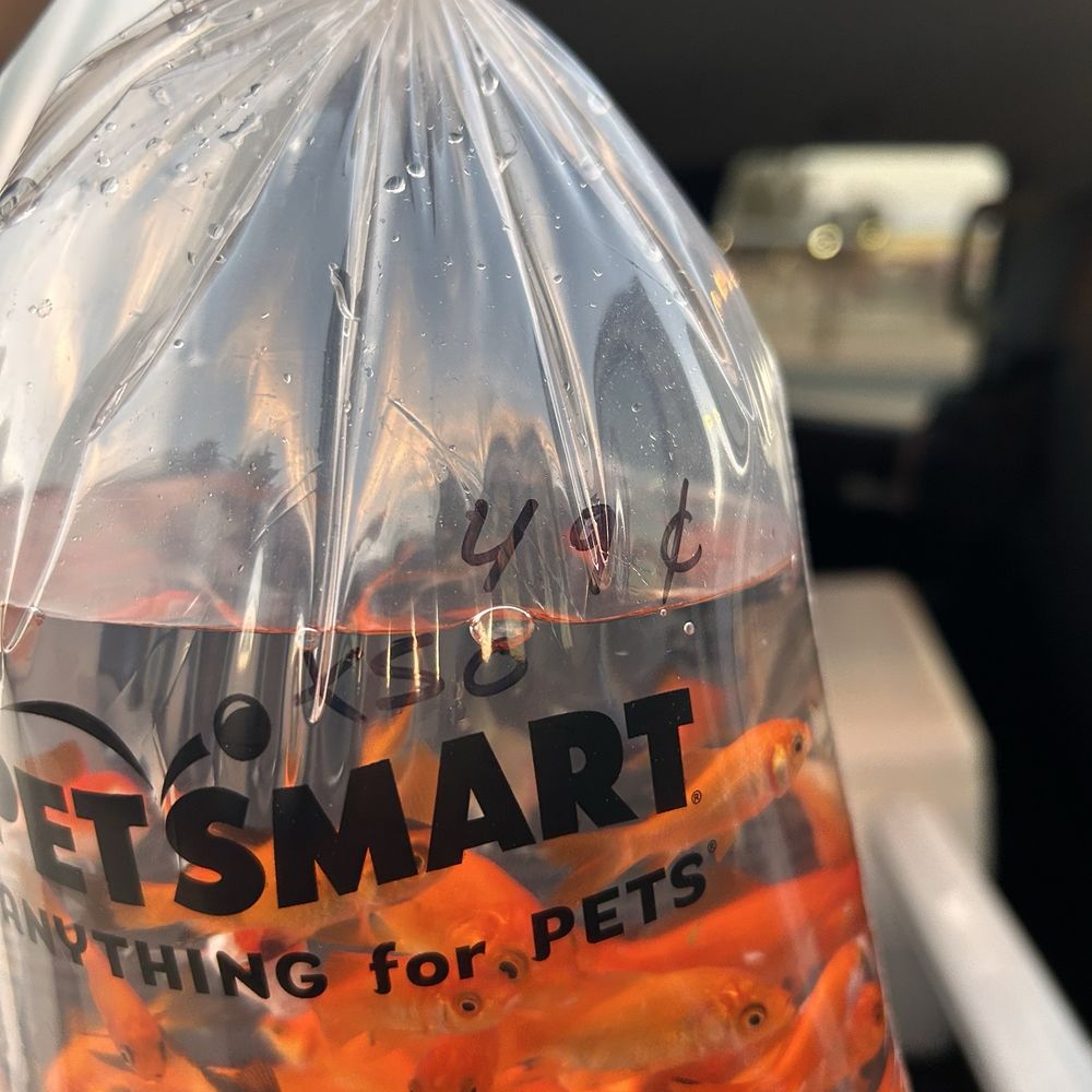 PetSmart - Pet Training Near Me - El Centro, California