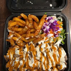 NYC Halal Eats - Lamb platter