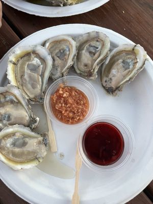 The Little House by null