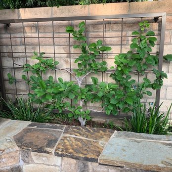 SK Landscape Design - Gardeners Near Me - Northridge, California SK Landscape Design - Gardeners Near Me - Northridge, California